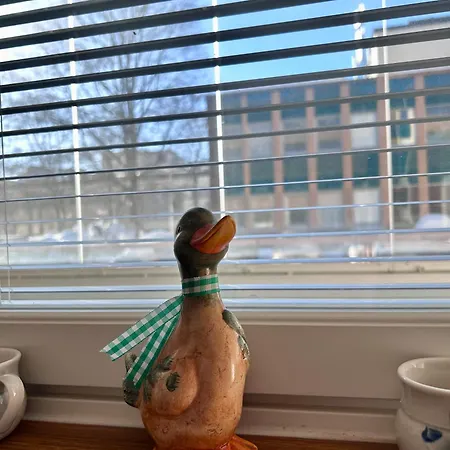 Kuninkaankatu - Free Parking * كوبيو