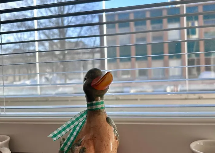 Kuninkaankatu - Free Parking * كوبيو